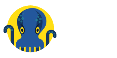 JetOctopus logo.